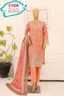 Bin Saeed Chikankari Lawn 3 Piece Suit BIN164 - Designer dhaage