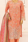 Bin Saeed Chikankari Lawn 3 Piece Suit BIN164 - Designer dhaage