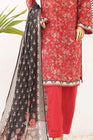 Bin Saeed Lawn 3 Piece Suit BIN172 - Designer dhaage