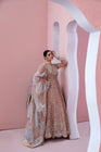 Differ Pakistani Wedding Wear Organza Maxi Dress DIF05-Designer dhaage