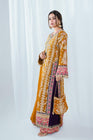 Haseens Meena Pakistani Wedding Wear Chiffon Suit HAS09-Designer dhaage