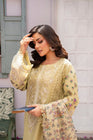 Karma Festive Embroidered Cotton Pakistani Suit KAR99 - Designer dhaage