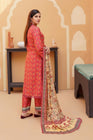 Munira Linen 3 Piece Pakistani Suit MUN594 - Designer dhaage