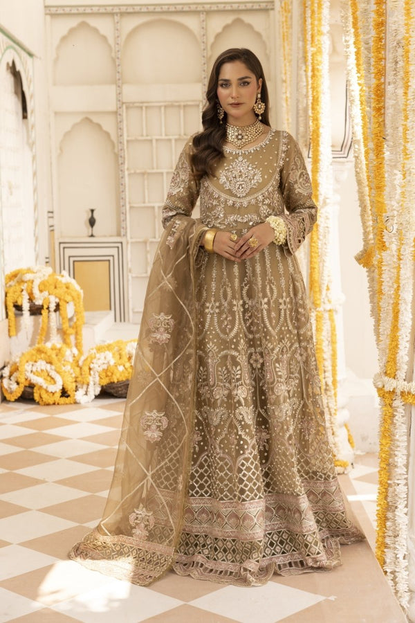 Maxi Pakistani Suits and Dresses