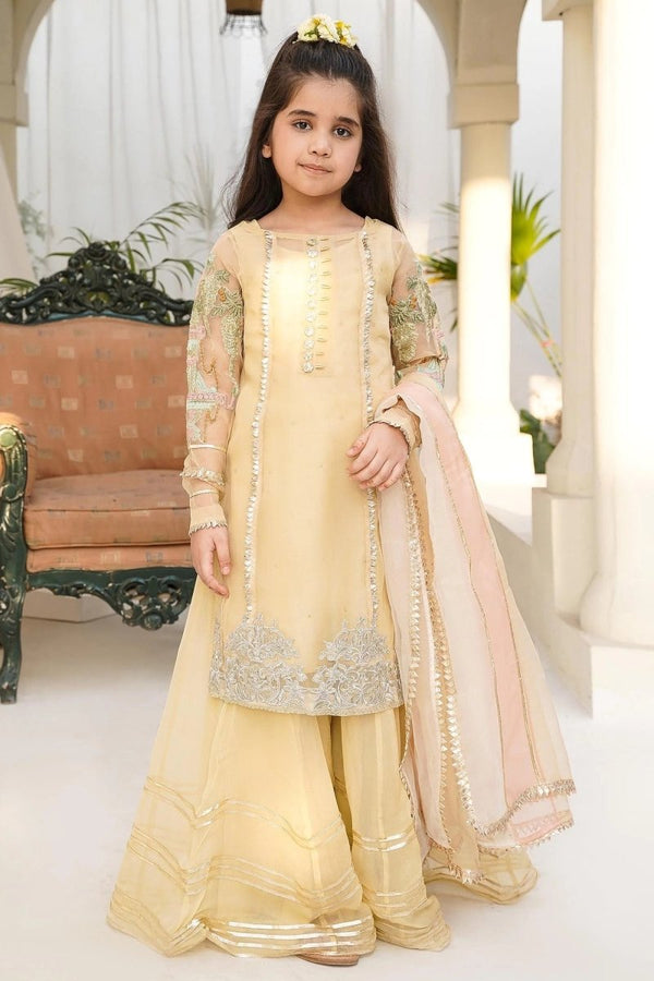 Pakistani girl's Formal Khaki gharara-129 - Libas Collection